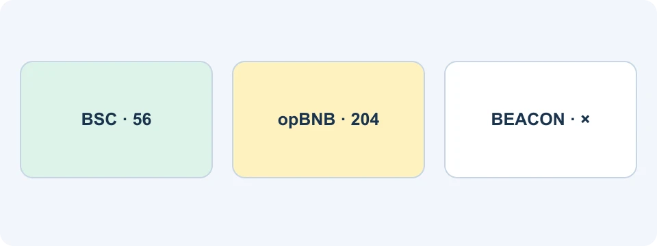 BSC بمعرّف السلسلة 56، وopBNB بمعرّف السلسلة 204، وBeacon Chain المتوقفة هويات شبكات منفصلة
